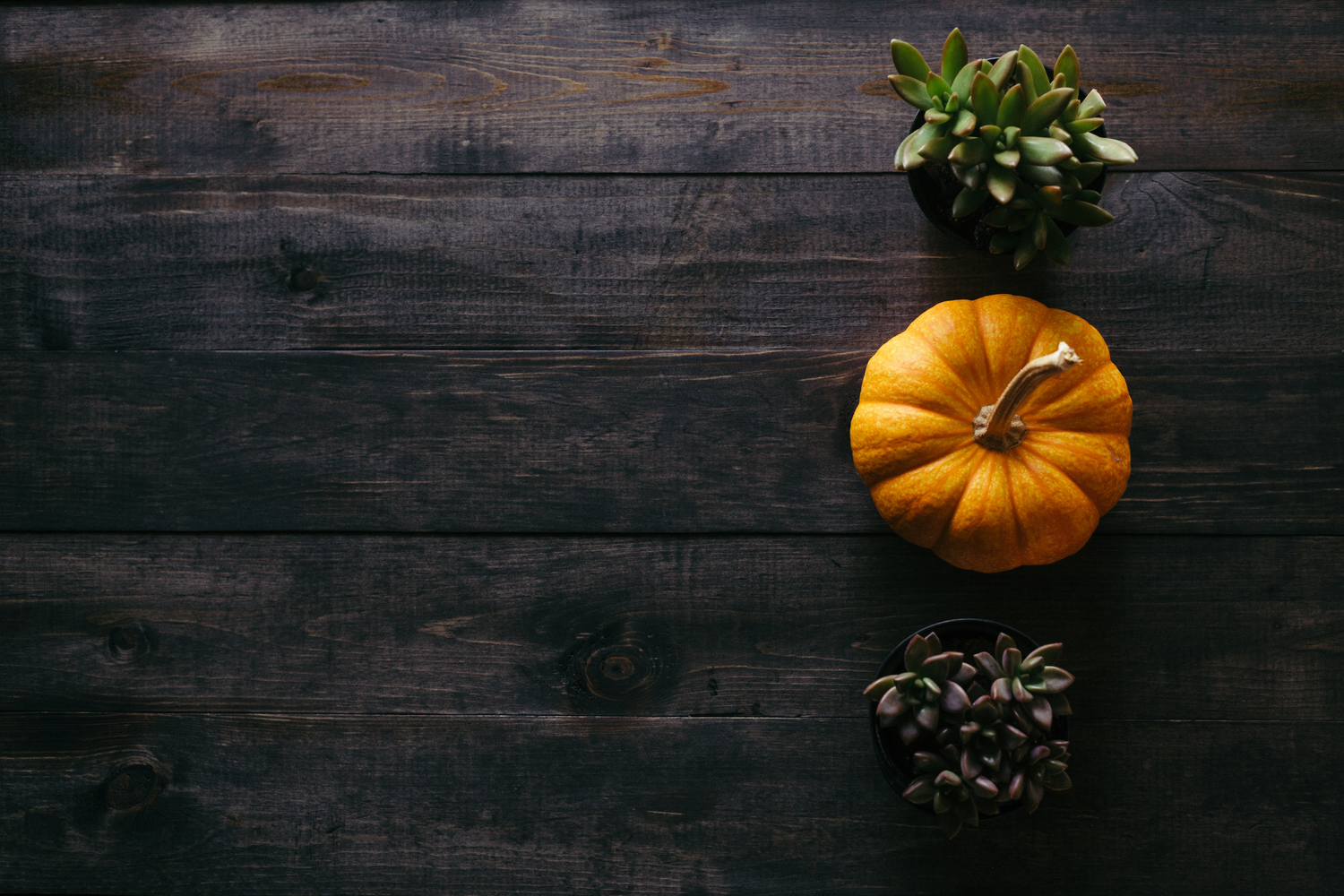 October Specials